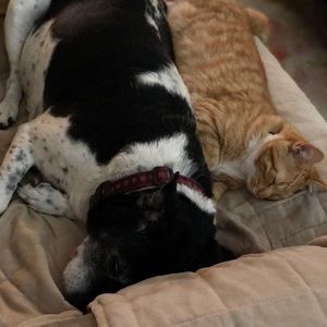 Meet your Posher, Margaret